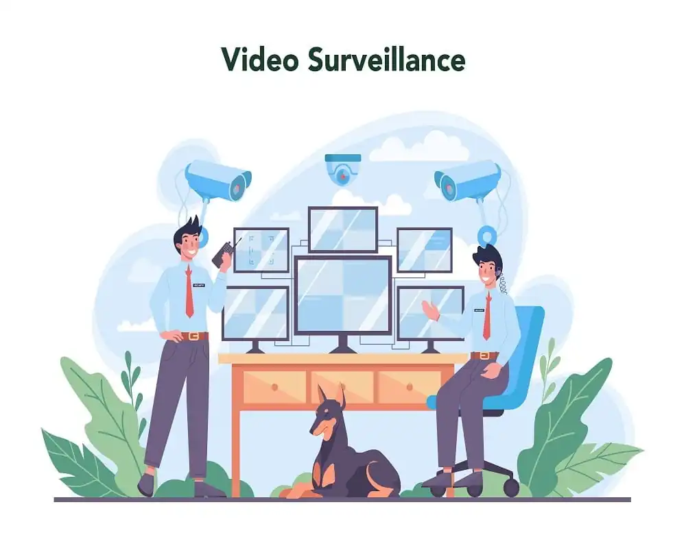 Video Surveillance